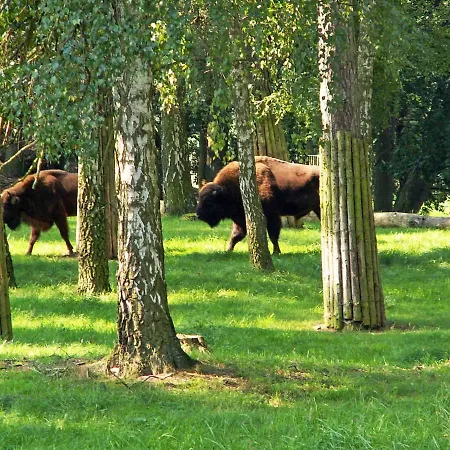 Ferienglueck In Strandbadnaehe Von Waren Mueritz *